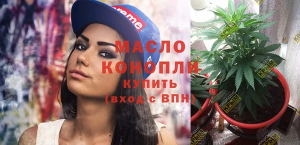 амф Слюдянка